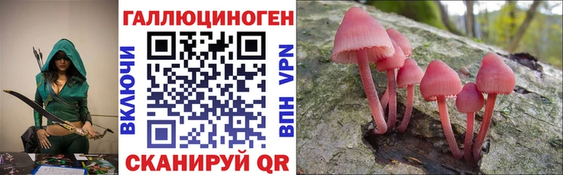 продажа наркотиков  Могоча  Псилоцибиновые грибы Psilocybine cubensis 