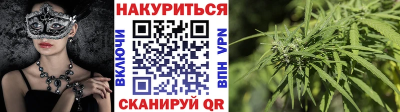 Бошки марихуана сатива  наркотики  МЕГА маркетплейс  Могоча 